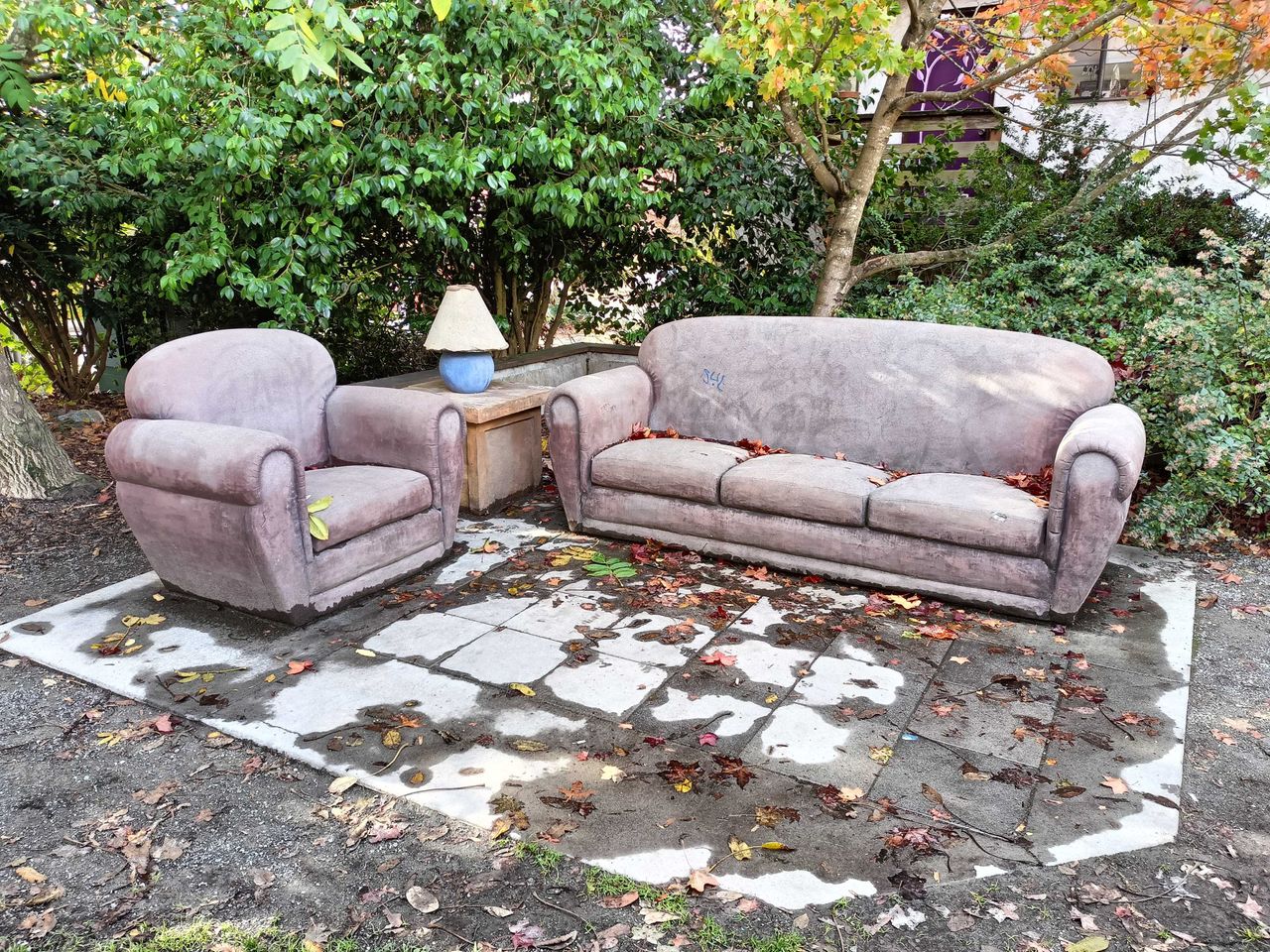 OnePlus Nord N300 5G camera sample, couches at a park