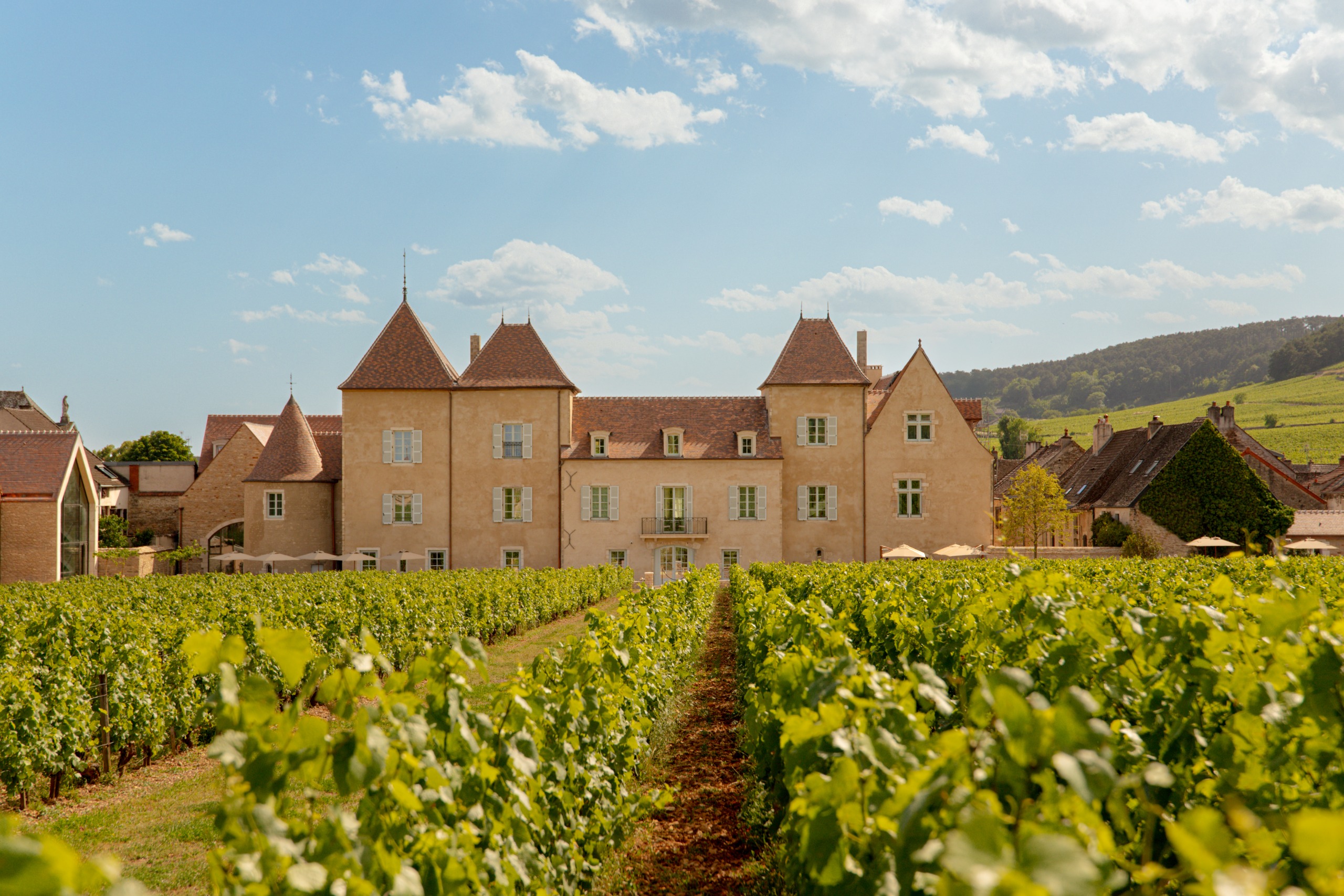 French ch&amp;acirc;teau surrounded by vineyards