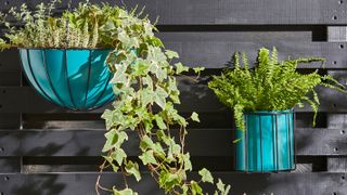 turquoise hanging planters on fence