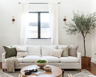 A living room with a large sofa with neutral cushions, and an olive tree in the corner