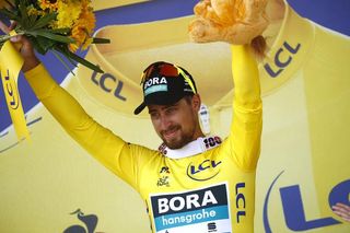 Peter Sagan took over the yellow jersey after winning stage 2 at the Tour de France