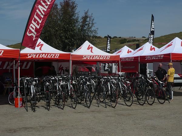 Specialized road bikes all lined up and ready for action.