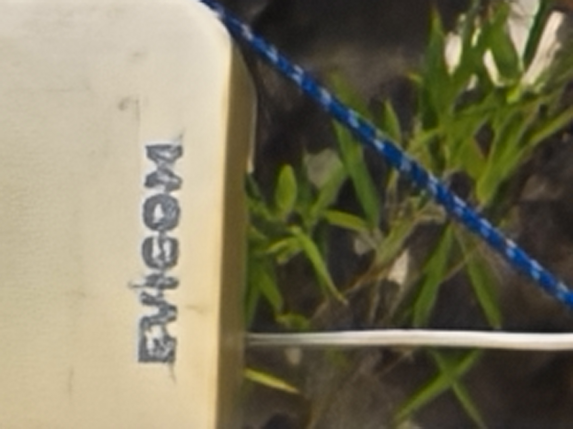 Honor Magic V5 AI zoom samples