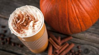 Pumpkin spice latte for dogs