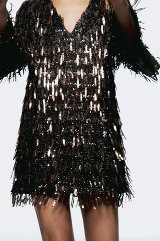 Mini Dress With Fringing and Sequins