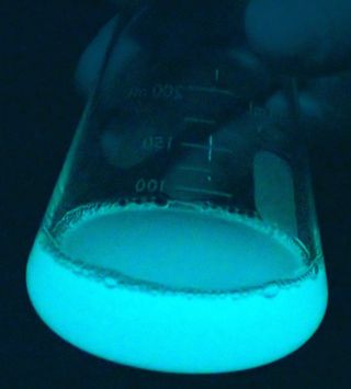 The bioluminescence in milky seas is caused by a type of bacteria.