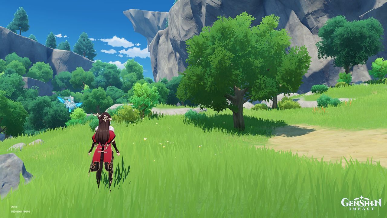 Genshin Impact wood