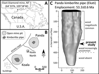 A. Location of the Ekati diamond mine. B. Situation of the Panda kimberlite in relation to other pipes that comprise the property. C. Morphology of the Panda kimberlite pipe and occurrence of wood.