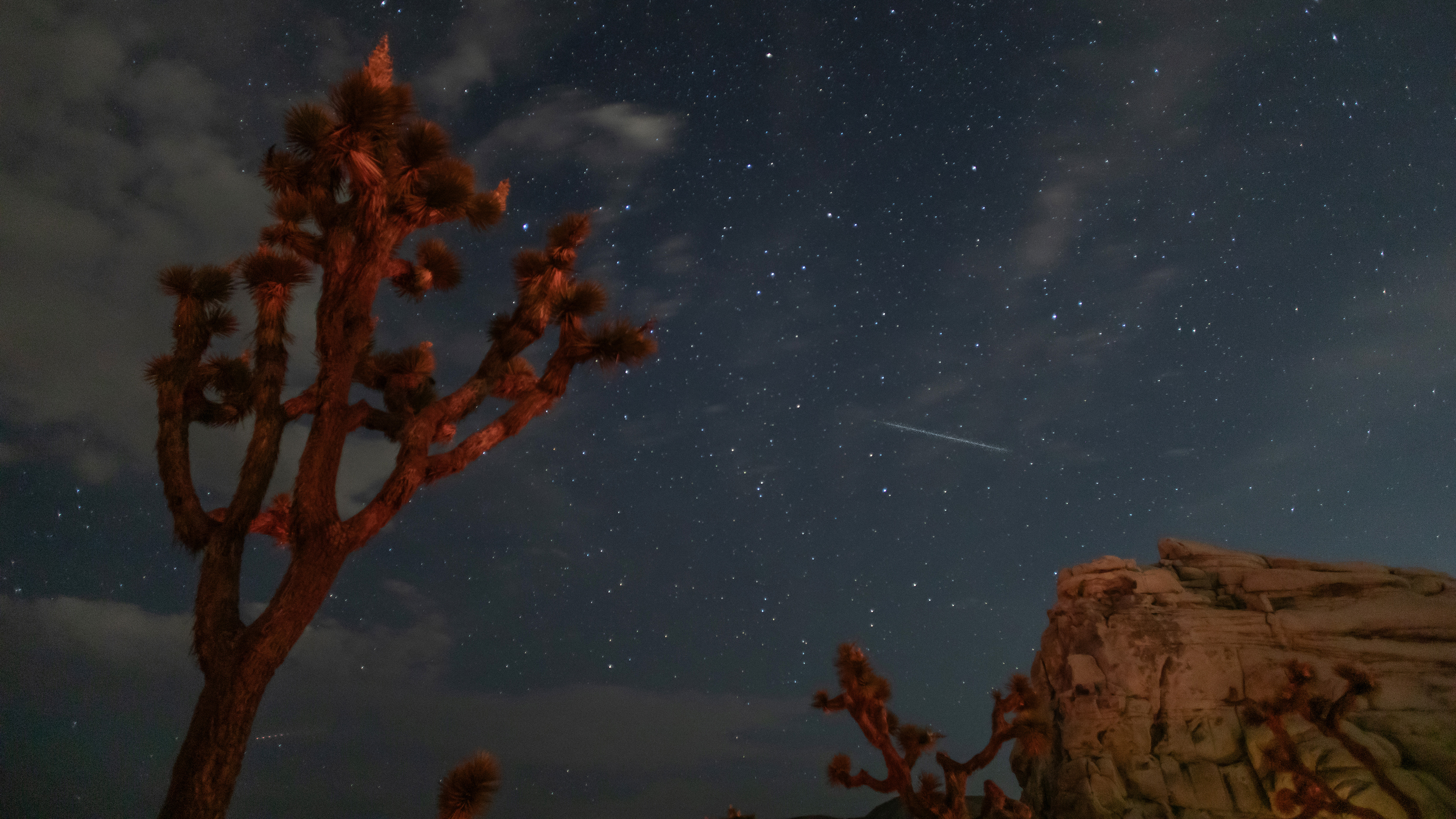 JOSHUA TREE, CALIFORNIA - AUGUST 13: A view of the skies as the Perseid Meteor Shower is captured over Joshua Tree National Park on August 13, 2026 in Joshua Tree, California. (Photo by Apu Gomes/Getty Images)