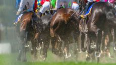 Racing spinal injury research