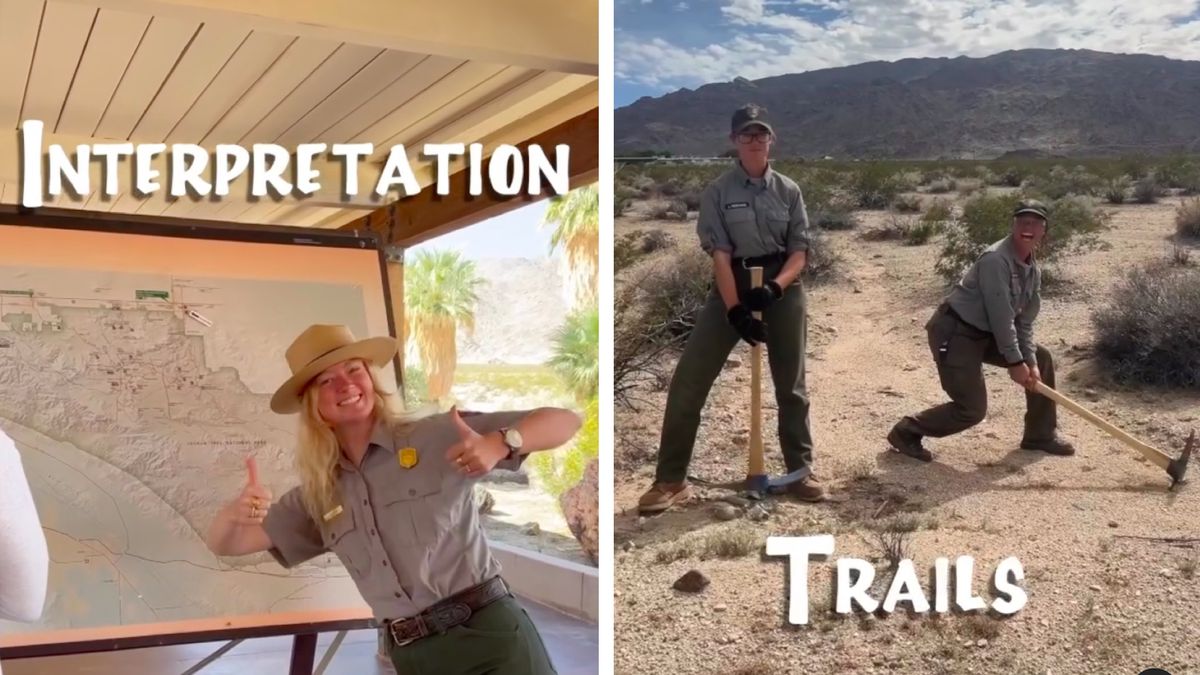 Joshua Tree National Park reimagined as a sitcom