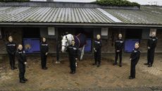 Retired police horse Breeze