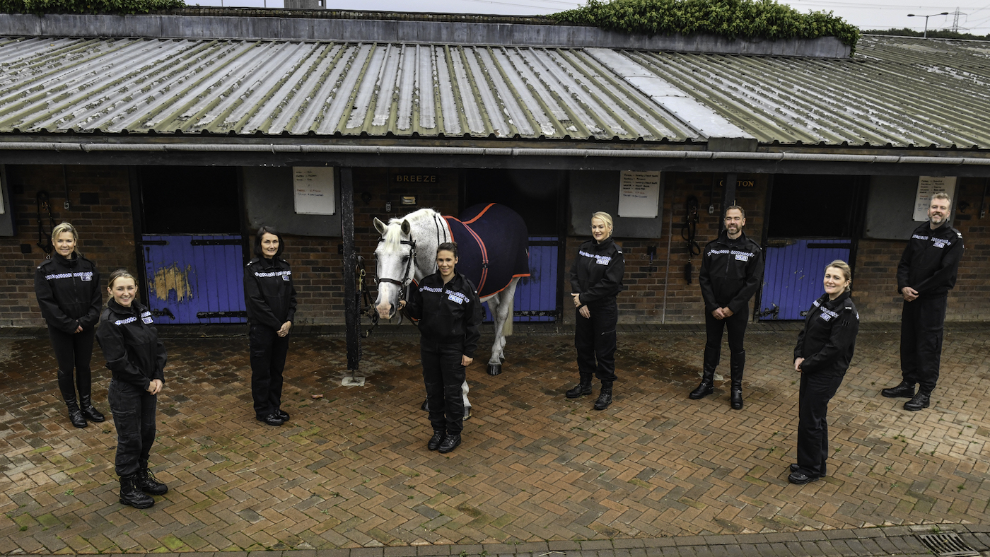 Retired police horse Breeze