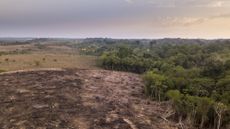 deforestaion, with land cleared in the left of the image and forest in the right. 