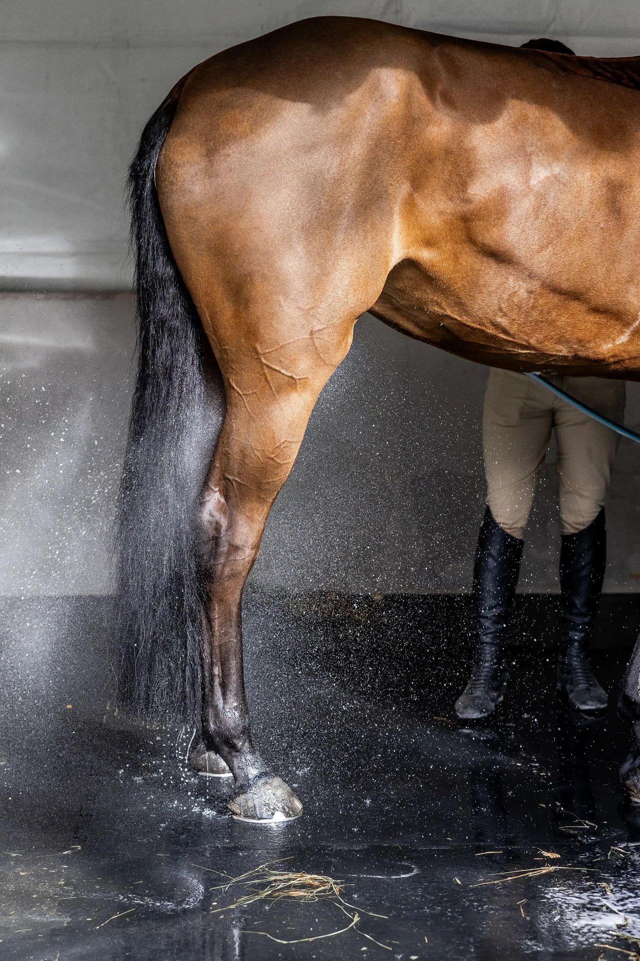 Saut Herm&egrave;s