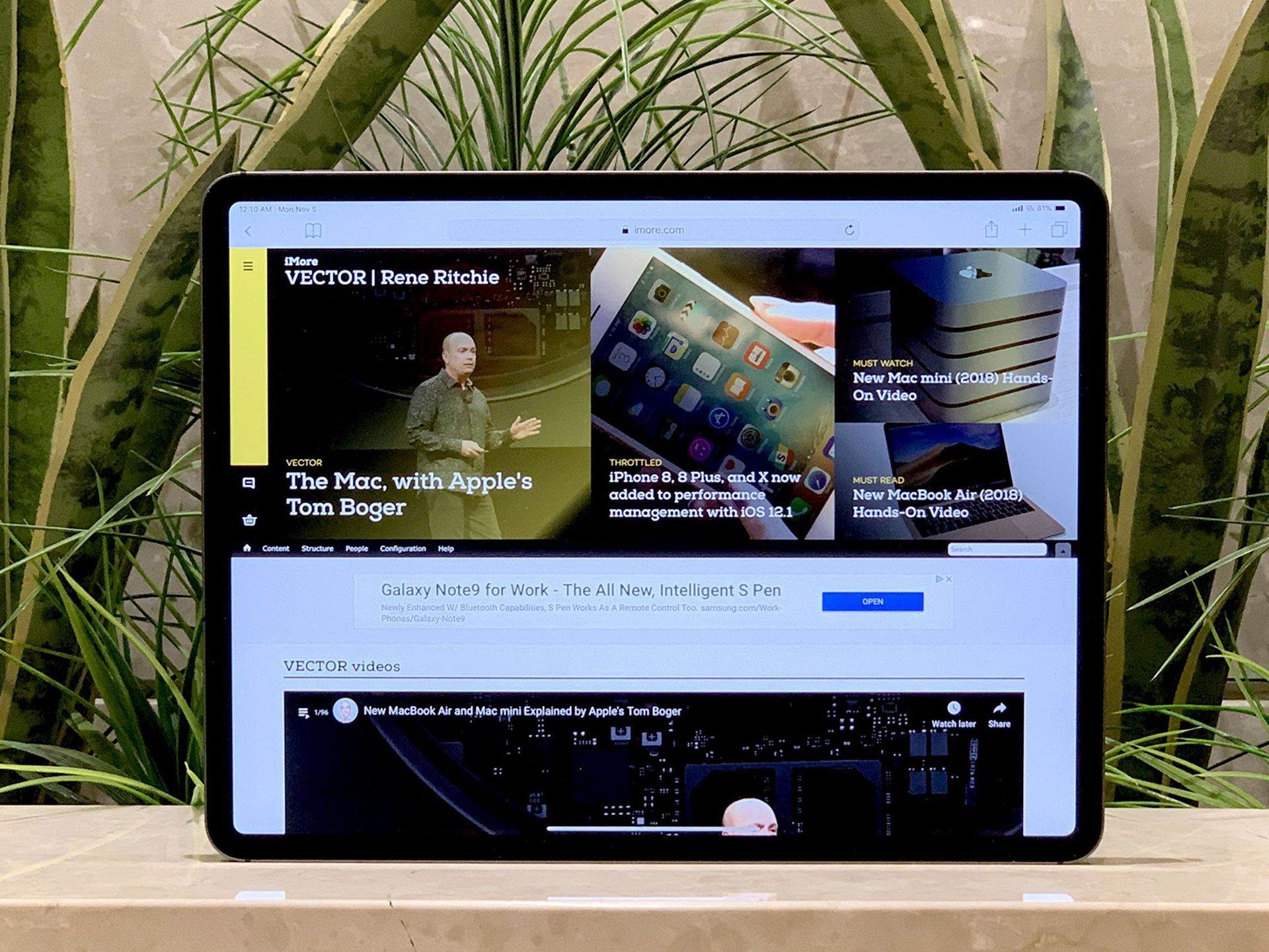 split view safari
