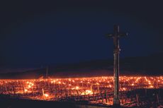 Domaine de la Roman&eacute;e-Conti 2021