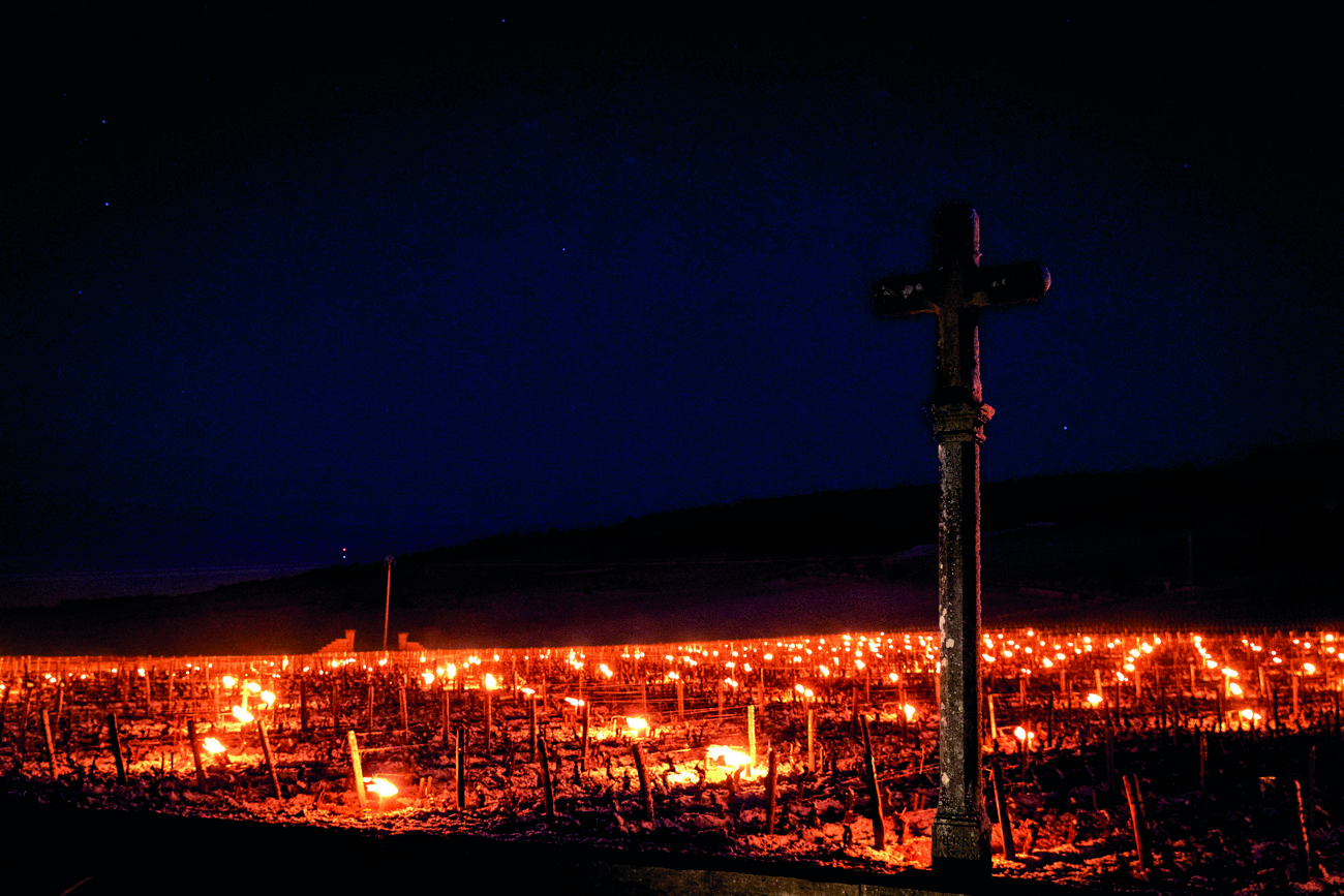 Domaine de la Roman&eacute;e-Conti 2021