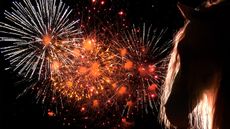 Horse head silhouette with fireworks in the background