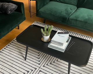 Louise's apartment coffee table styled with books and a cactus