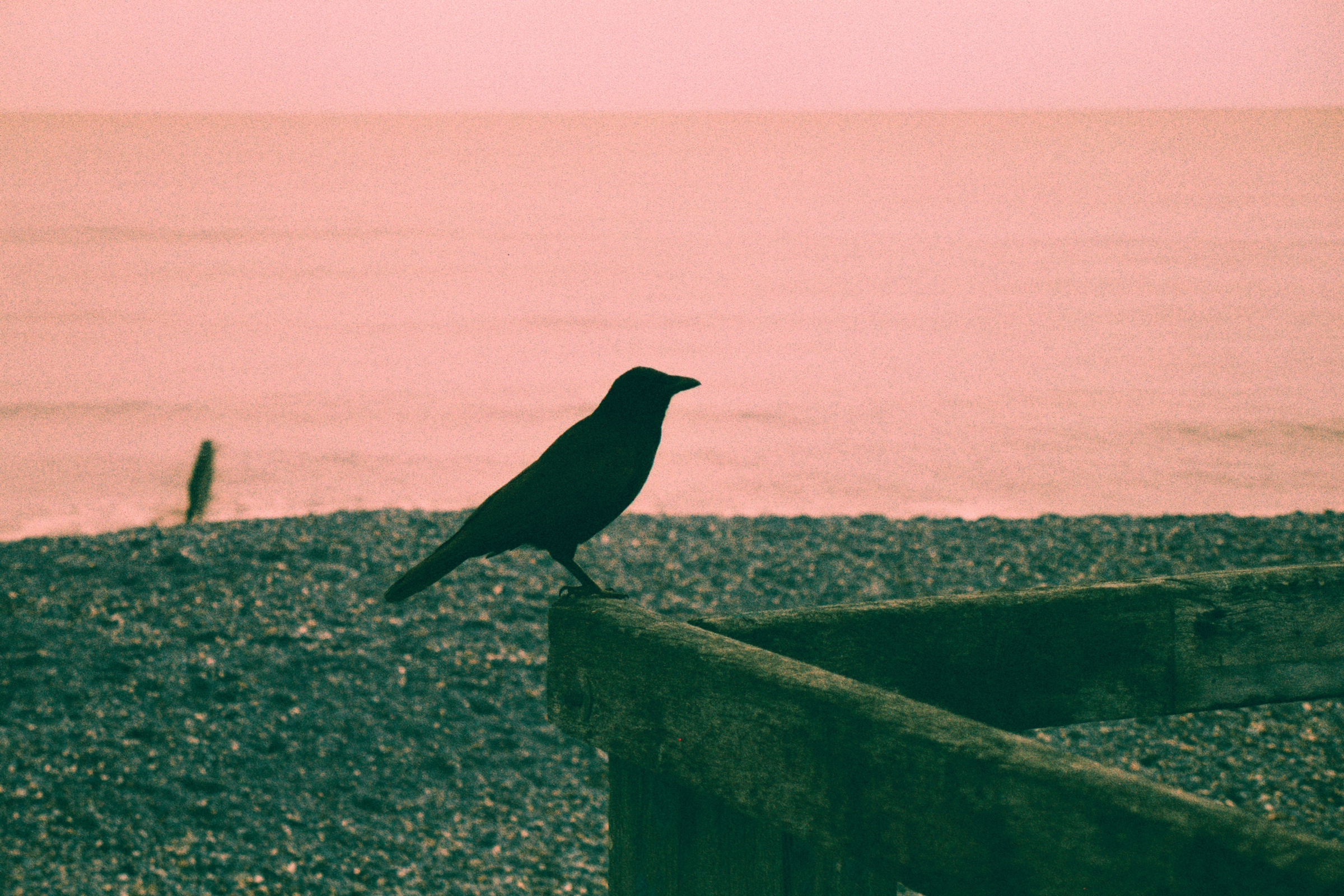 Harman Switch Azure 35mm film sample image