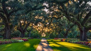 gardens off Myrtle Beach in South Carolina