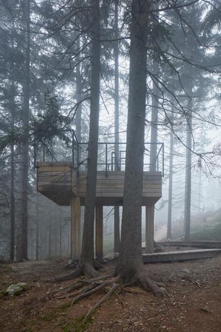 Mountain viewpoint platform in woods