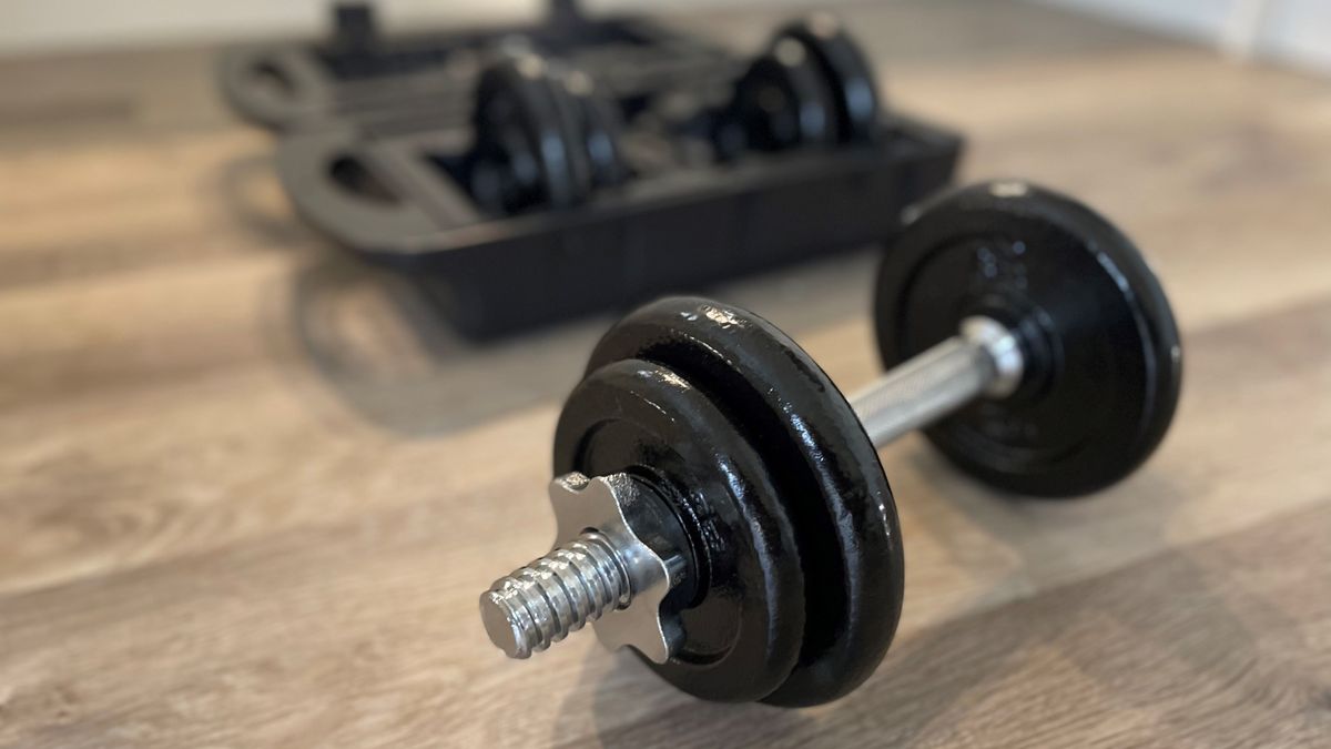 Amazon Basics Adjustable Weight Set review TechRadar