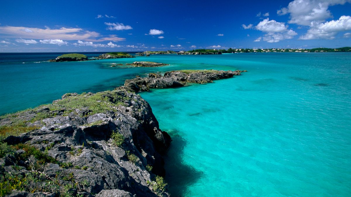 Sargasso Sea around Bermuda is now at its hottest, most acidic and ...