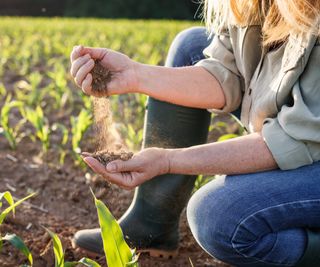 Farmer kneels in field and lets soil drop from one hand into the other