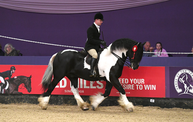 HOYS 07 10 2018