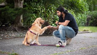 Man shaking his dog's paw while training in the park