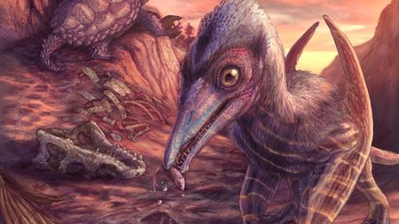 A cropped illustration of the small pterosaur, Eotephradactylus mcintireae, feeding on fish in an ancient Late Triassic ecosystem.