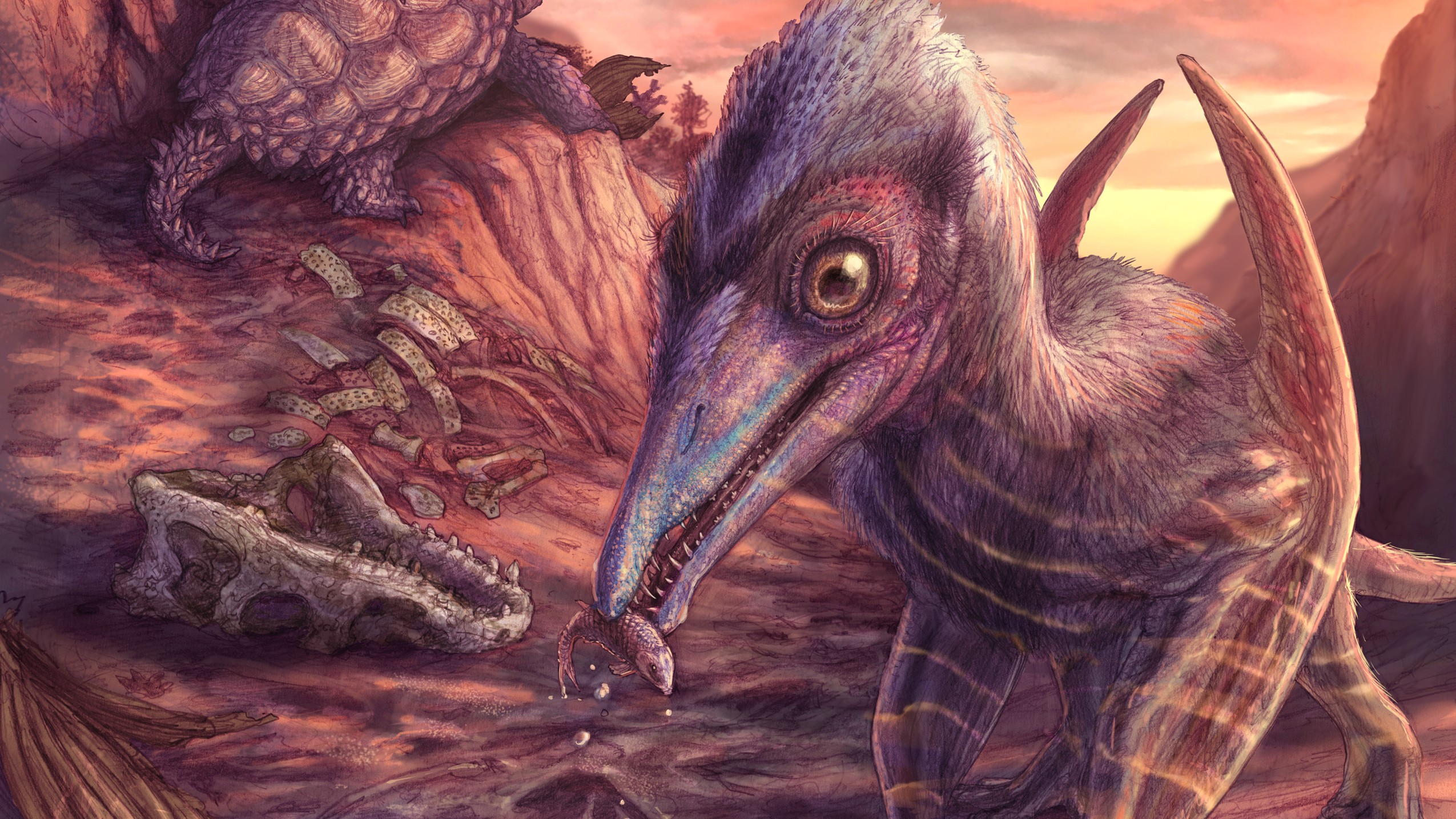 A cropped illustration of the small pterosaur, Eotephradactylus mcintireae, feeding on fish in an ancient Late Triassic ecosystem. 