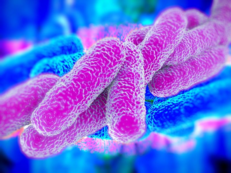 An illustration of Legionella bacteria.