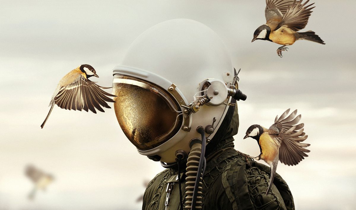 Image Credit: Martin Stranka, Czech Republic, Winner, Open competition, Creative , 2019 Sony World Photography Awards