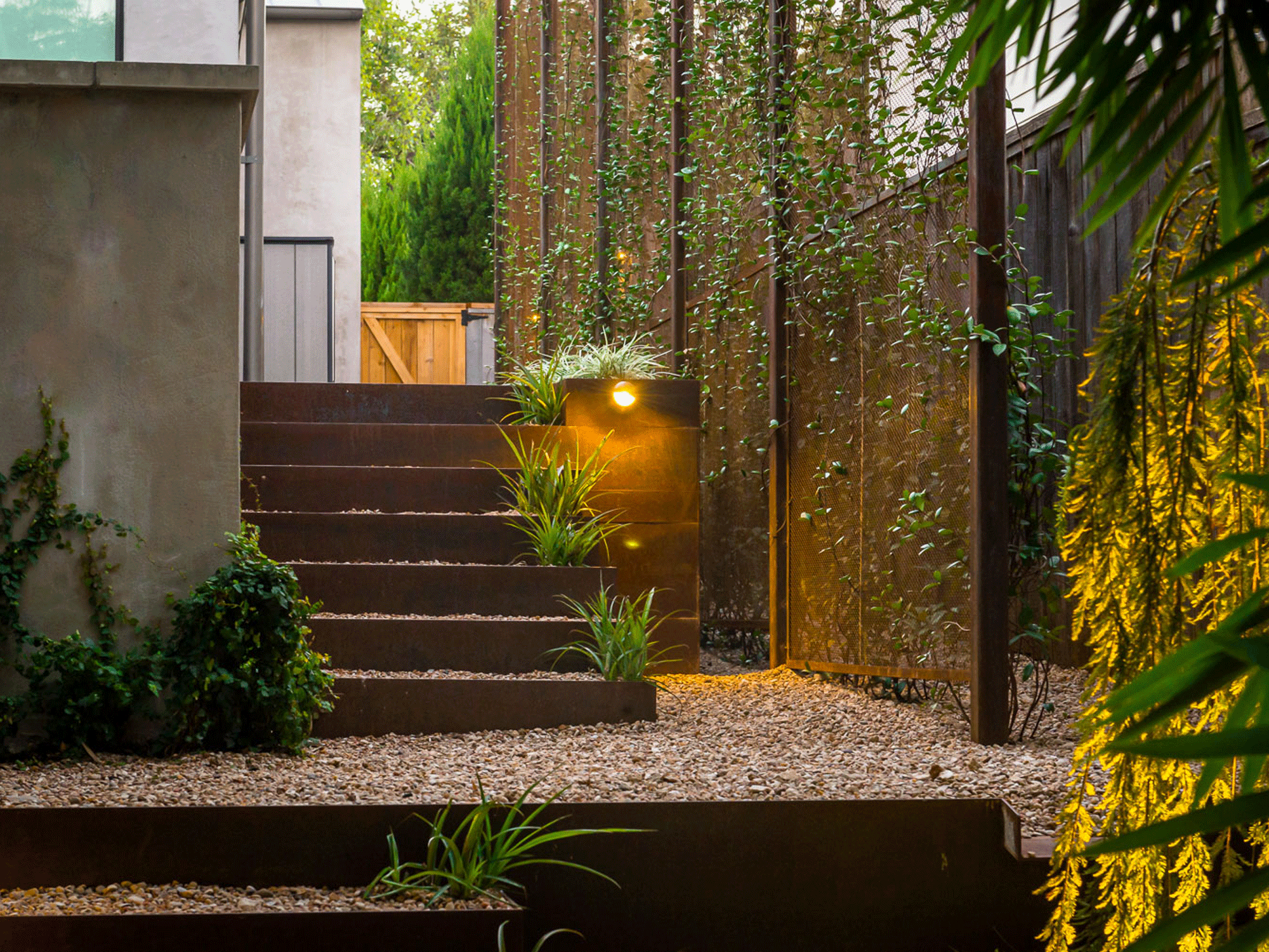 steps, planting and screening in urban back garden
