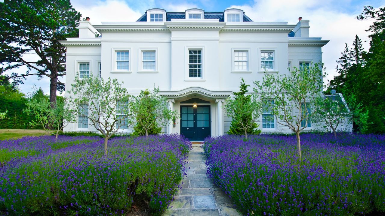 White house surrounded by flower bed