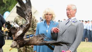 Charles and Camilla watch an eagle fly