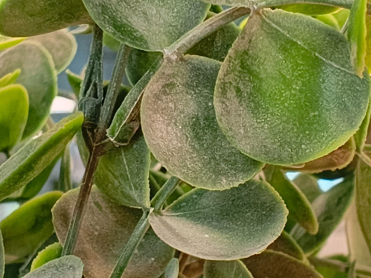Camera sample captured on the Tecno Pova Slim