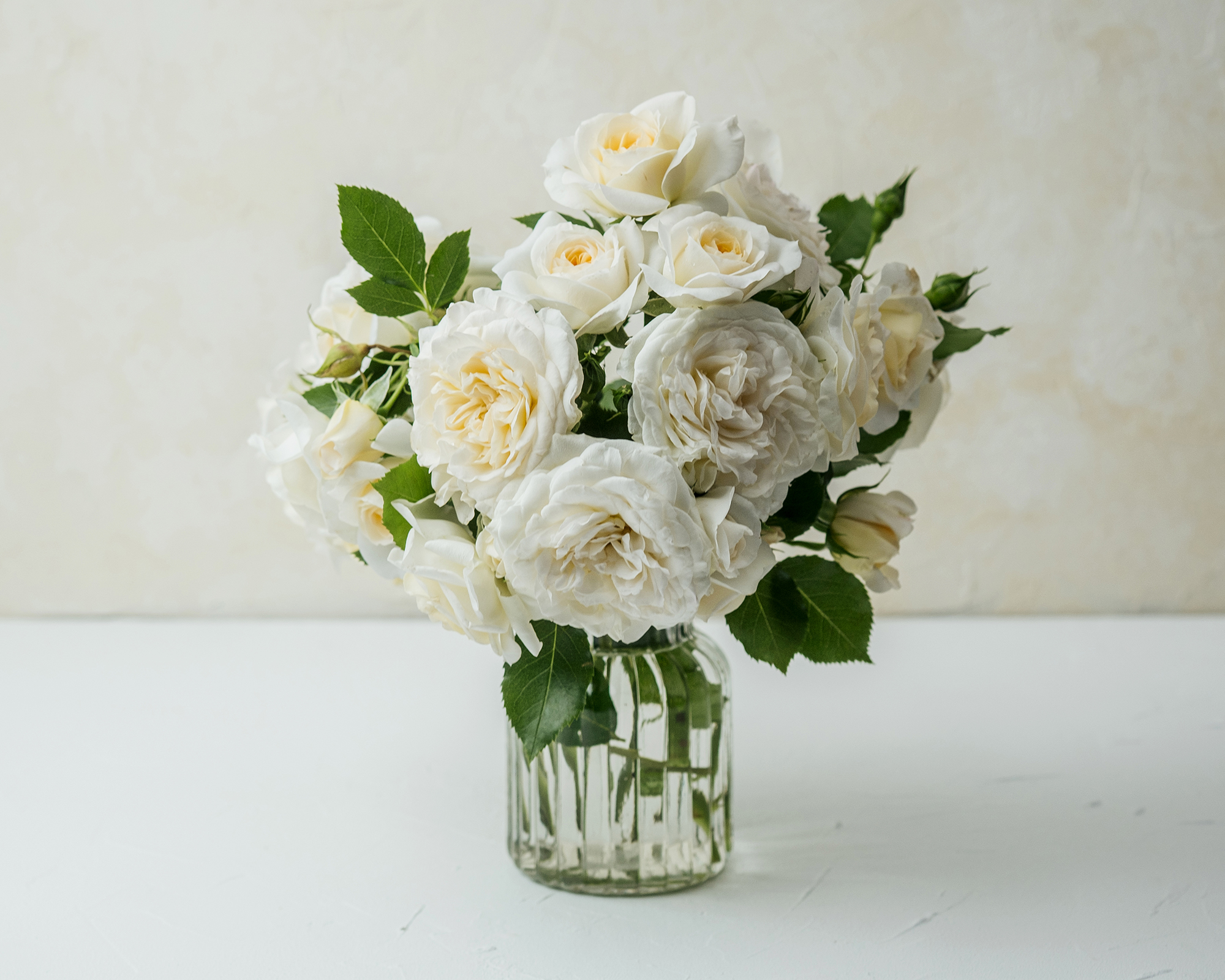 White roses bouquet in glass vase on white table with light background