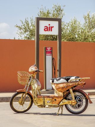 The Mahjouba Initiative moped