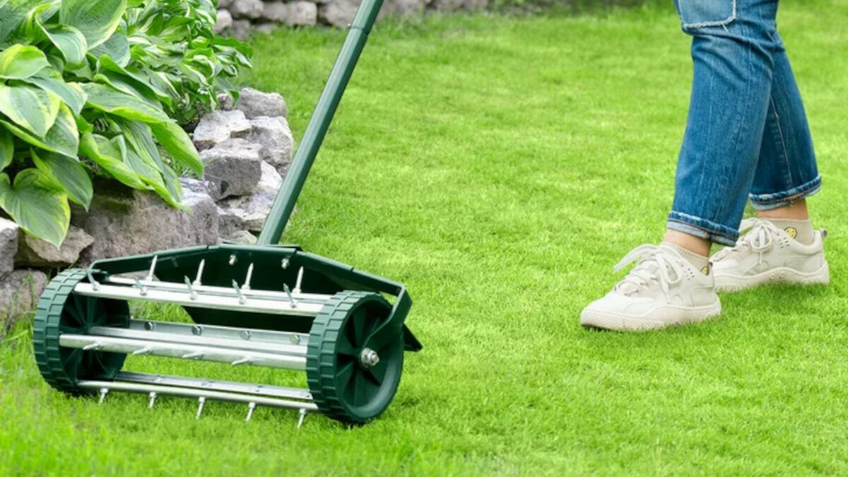 Plug vs spike aerator what's the difference? Top Ten Reviews