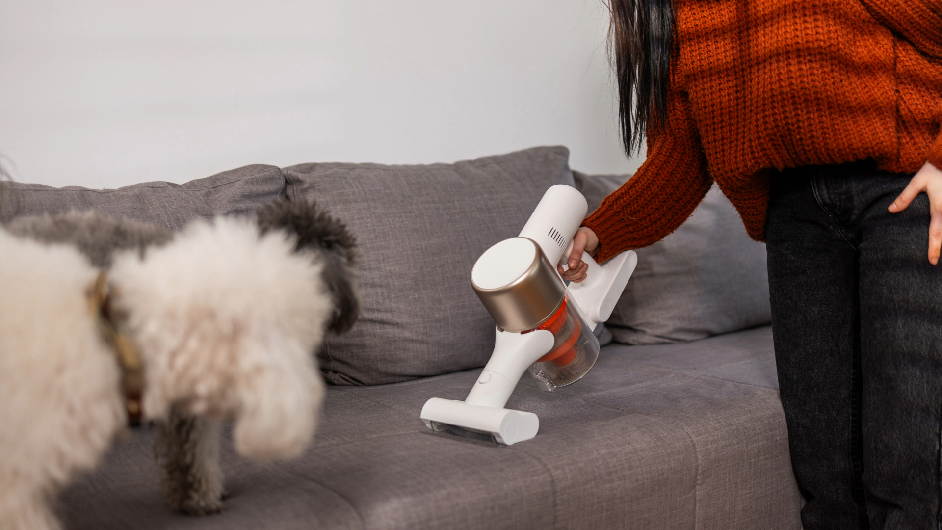 Person vacuuming sofa while two dogs watch