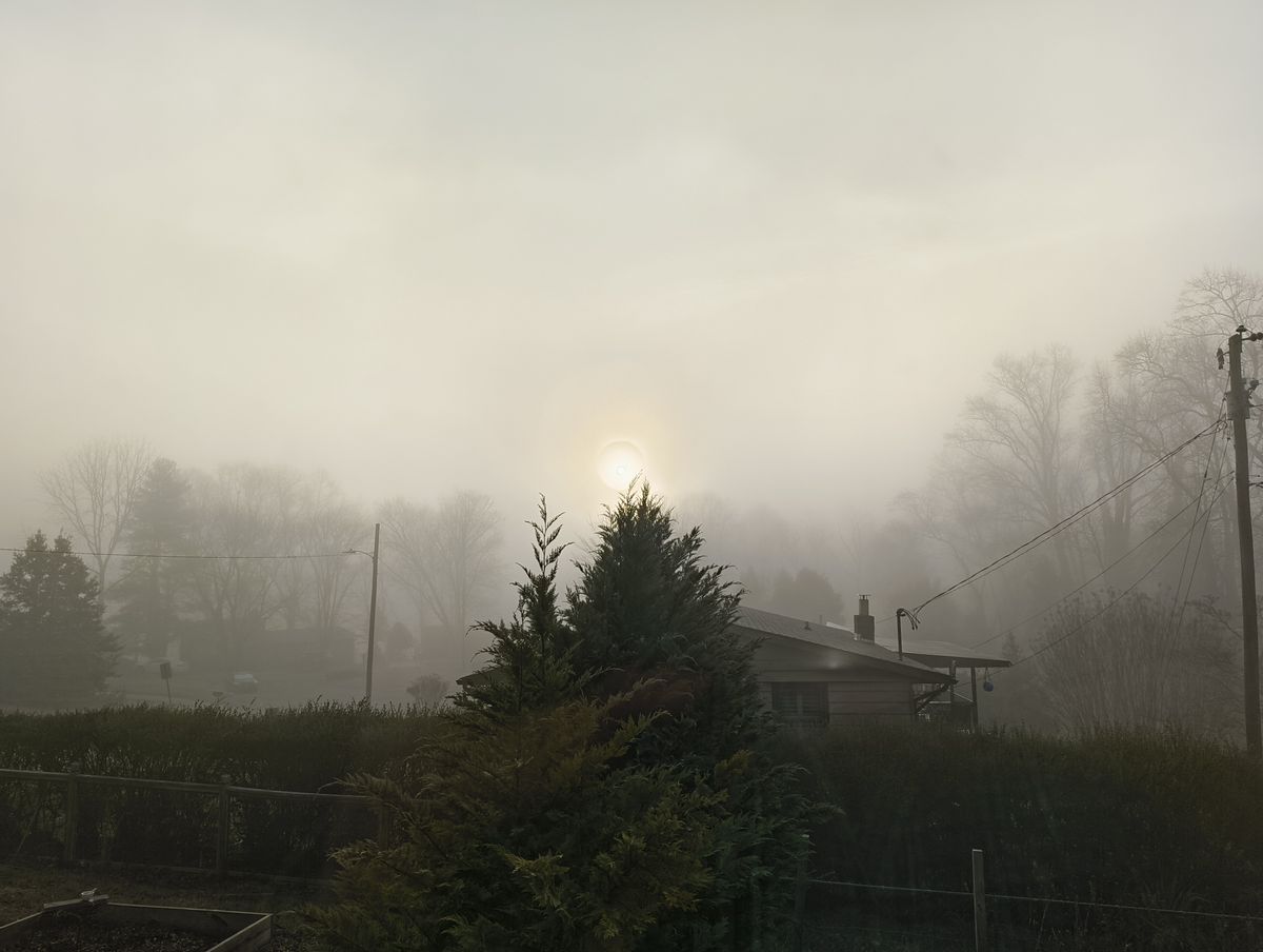 Camera samples from the Nothing Phone (2a)