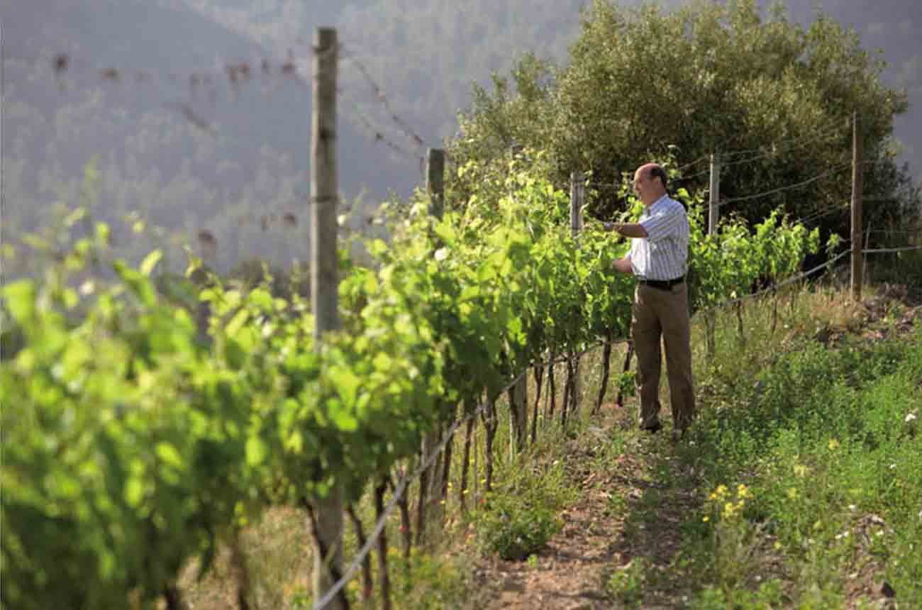 Clos Galena's winemaker Miguel P&amp;eacute;rez