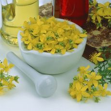 St. John's wort in a mortar and pestle