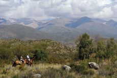Uco Valley Argentina, Uco Valley