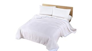 Best comforters: Silk Camel Luxury Allergy Free Comforter