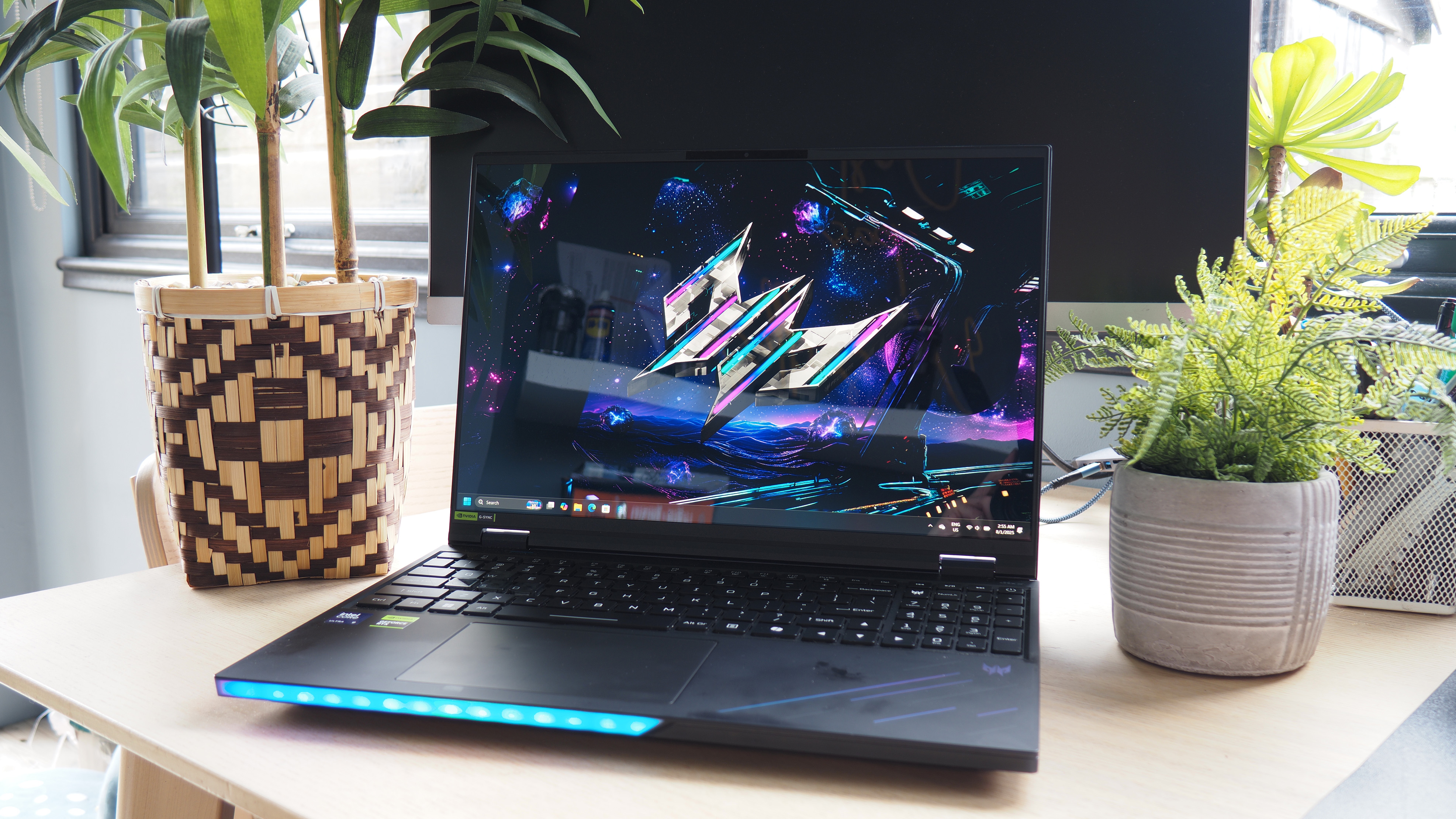 An image of a laptop on a desk with two potted plants